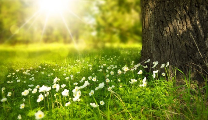 Son Cemre Toprağa düştü! - Cemre nedir?