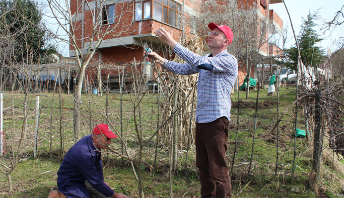 Fındıkta örnek bahçeler budandı