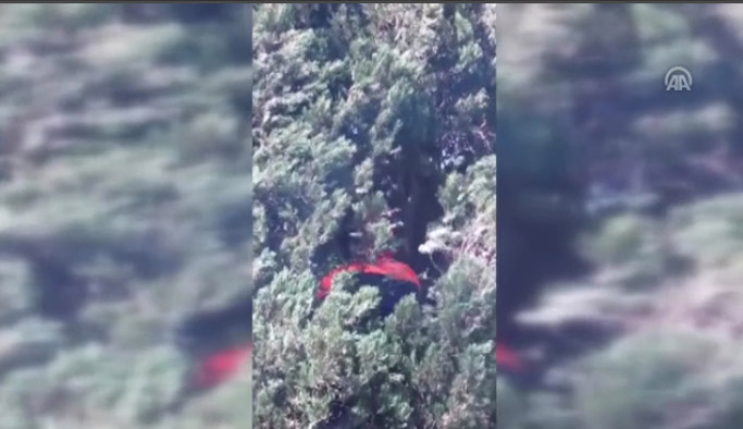 Trabzon'da kedi operasyonu