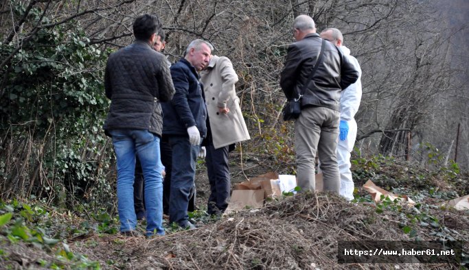 Zılbıt toplamaya giden kadın dehşete düştü!