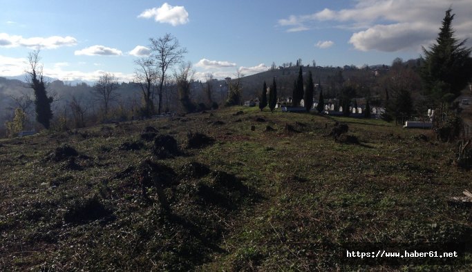 Ordu’ya yeni mezarlık yapılıyor