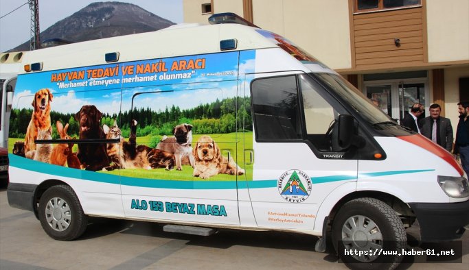 Hayvan ambulansı "haybulans" hizmete girdi