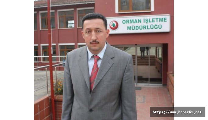 Trabzon Orman müdürlüğü 5 milyon fidan üretti