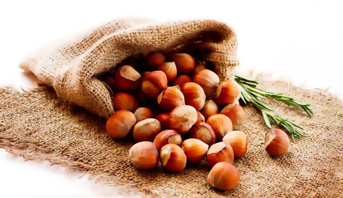 İstikrarlı fındık fiyatı için...