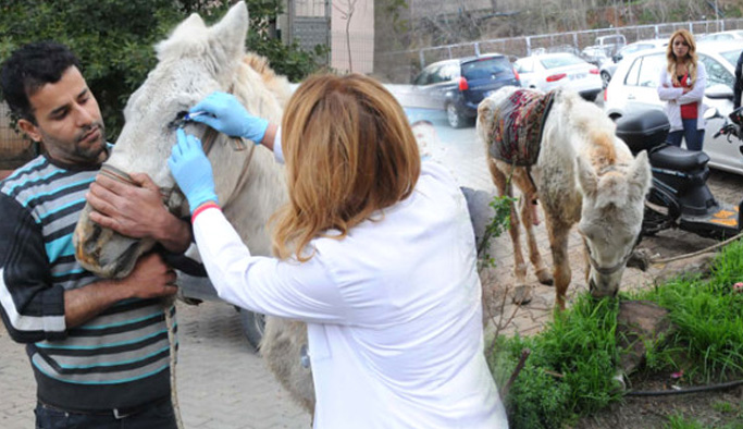 Ata görülmedik işkence