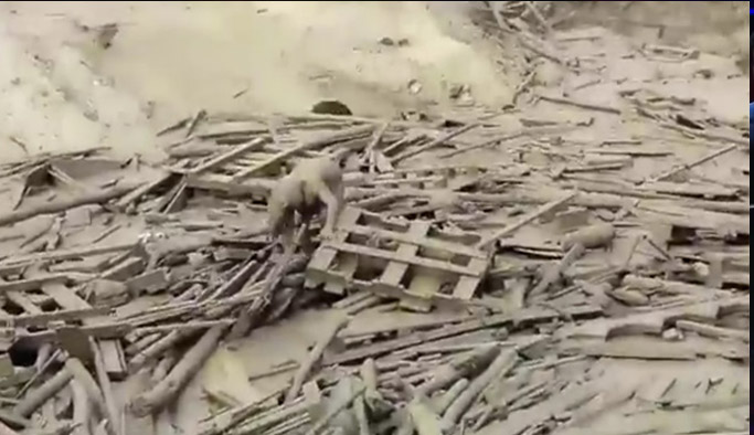 Peru’da kıyamet! 12 bin ev yıkıldı ölü sayısı artıyor