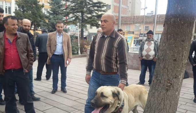 Kangal köpekleriyle Hollanda protestosu