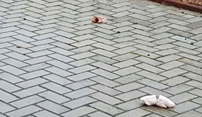 Camiye çirkin saldırı!