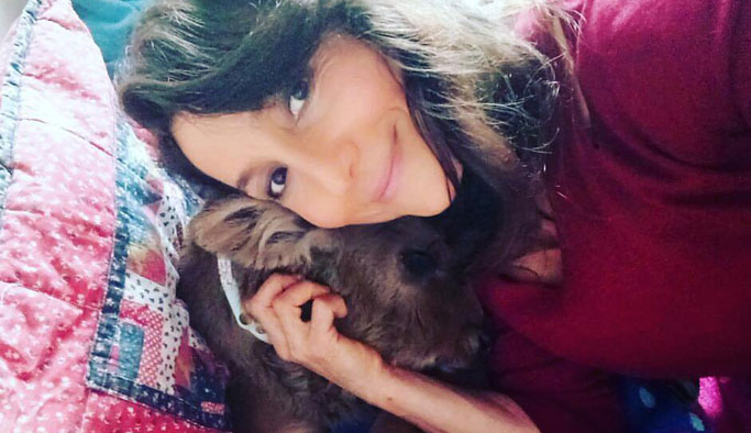 Kadifenin ölümü genç kadını yıktı