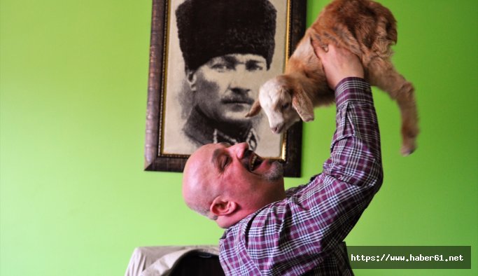 Trabzonlu adamla oğlağın dostluğu yürekleri ısıtıyor