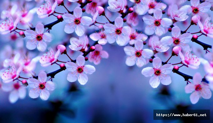 Nevruz nedir? Nevruz neden kutlanır? 21 Mart Ekinoks nedir?