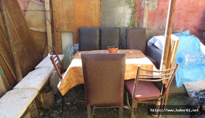 Mangalda bonzai dehşeti!