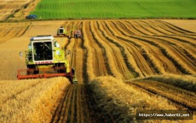 Tarımda işsizlik oranı arttı