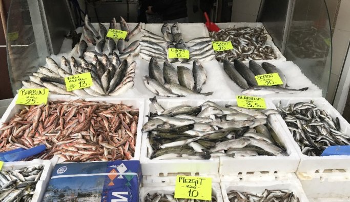 Batı Karadeniz'de hamsi yok oldu