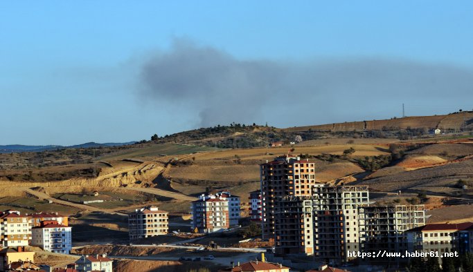4 hektar ormanlık alan yandı