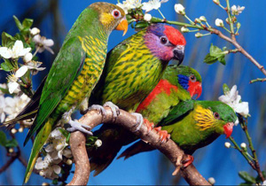 "Muhabbeti çekilmiyor"