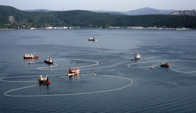 Küçük balıkların avlanması endişe verici