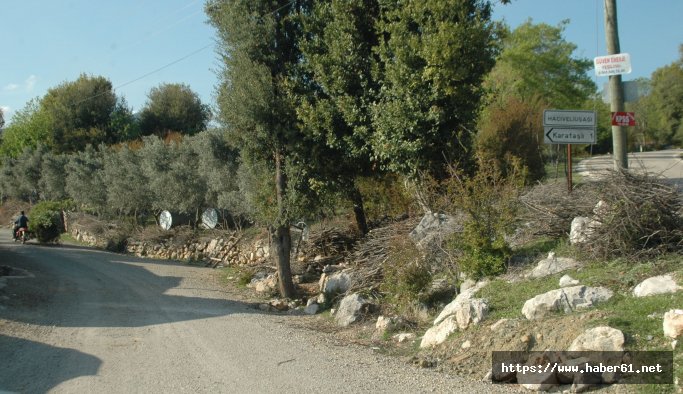 Adil Öksüz'ün mahallesinden 'evet' çıktı