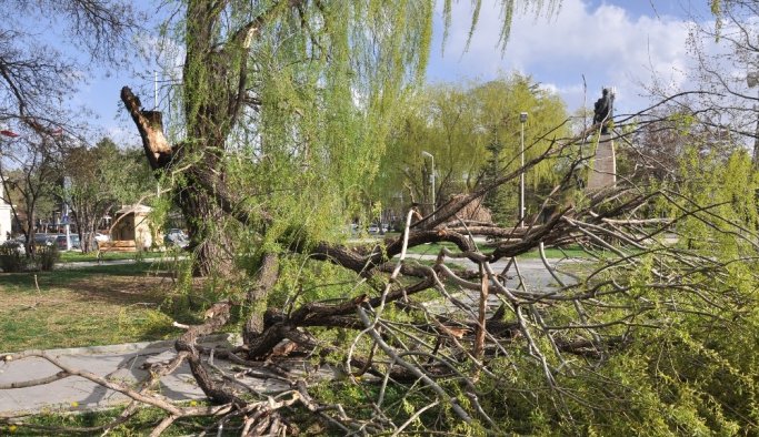 Şiddetli rüzgar vatandaşları evlerine kapattı