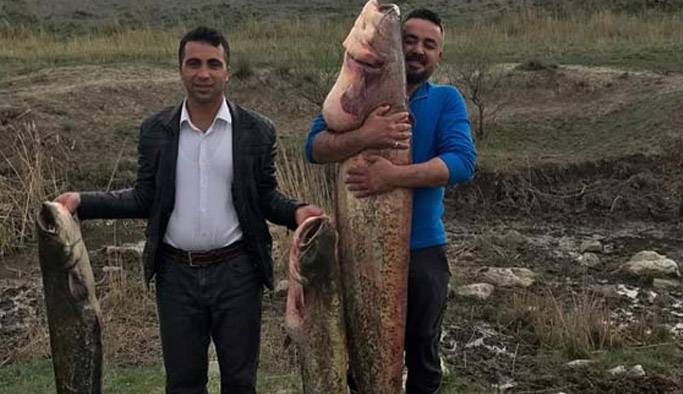 Yakaladığı balık şok etti