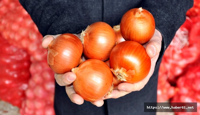 Soğan tarlada 35 kuruş, markette 2 lira