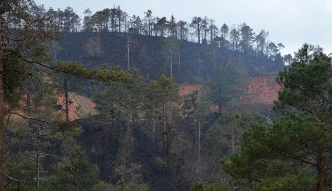 Bakanlıktan Trabzon Milletvekiline Çamburnu cevabı