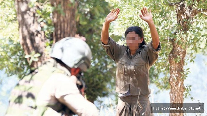 5 terörist teslim oldu 08 Mayıs 2017