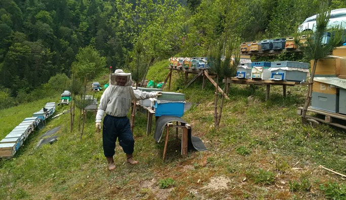Rize'de arıcılar mevsimden umutlu