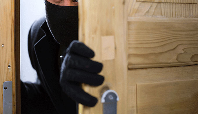 Kamu görevlisi hırsız tutuklandı