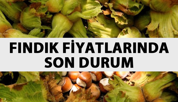 Fındık fiyatları ne kadar oldu? Fındık fiyatında son durum 16.05.2017
