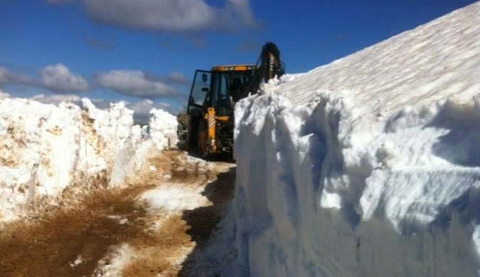 Doğu Karadeniz’de karla mücadele devam ediyor
