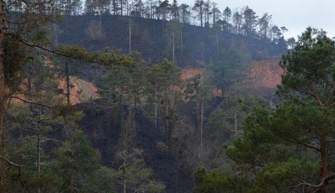 TMMOB'den Çamburnu açıklaması! "Endişe duyuyoruz"