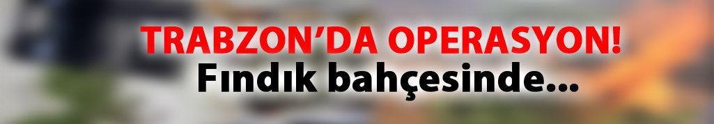 Trabzon'da operasyon; Fındık bahçesinde...