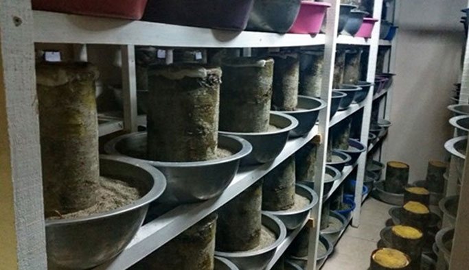 Trabzon'da Dumansız orman yangını ile mücadele