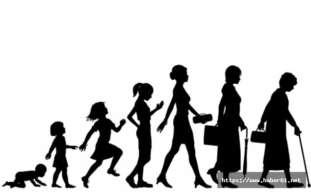 Hane halkı araştırması başladı