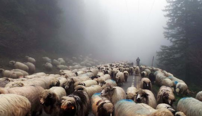 Aylık 2-4 bin TL'ye çalışan bulamıyor!