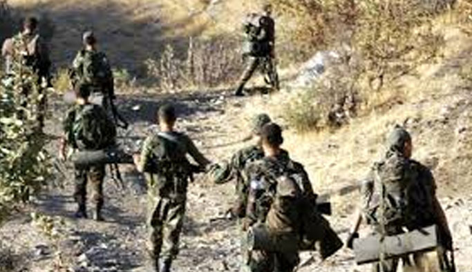 Güvenlik güçlerine taciz ateşi