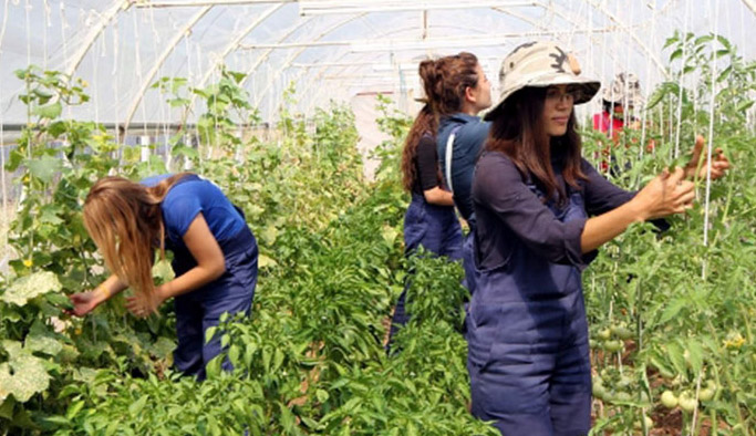 Giresun'da çiftçilere destek