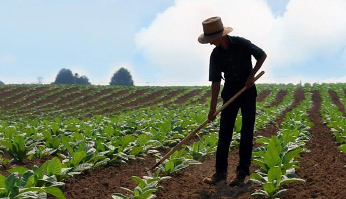 Trabzon'da genç çiftçilere 6,3 Milyon TL destek