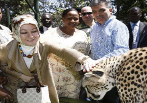 Gül vahşi hayvanlarla