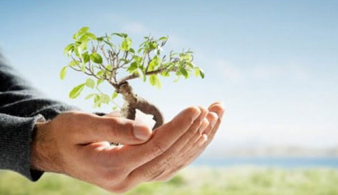 Trabzon'da, "Dünya Çevre Günü" kutlanacak