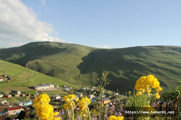 "Atatürk silüeti"ne büyük ilgi