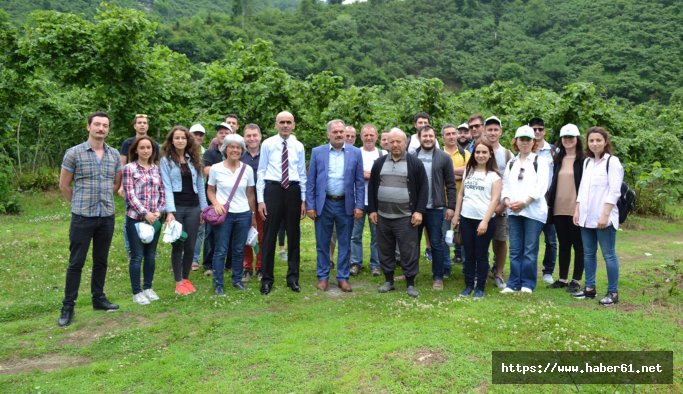 İtalyan ve İspanyollar fındıkta!