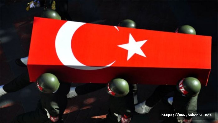 Hakkari'den acı haber: Şehit ve yaralılar var