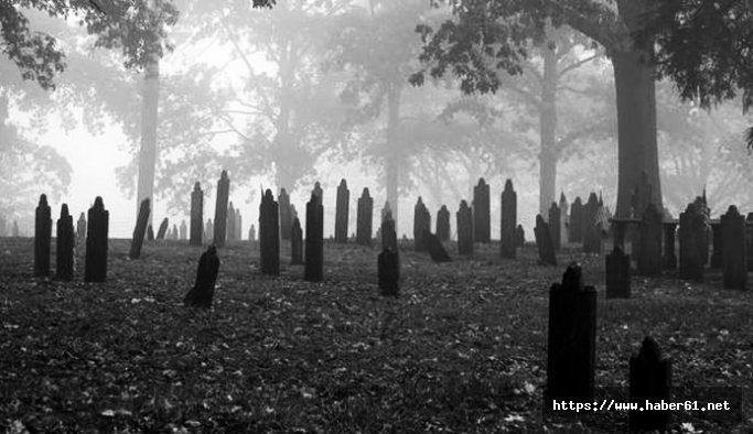 Karadeniz'de ölüm oranları arttı