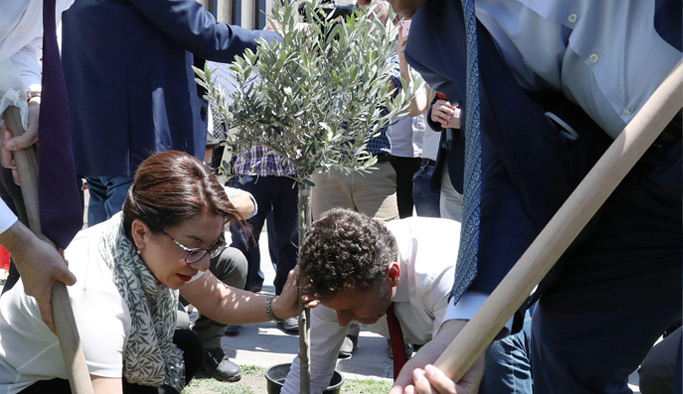 CHP milletvekillerinden zeytinlik protestosu 