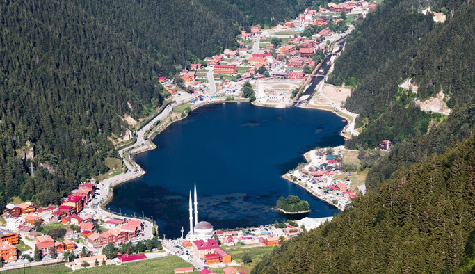 Trabzon'da Katarlı yatırımcı darp edildi!