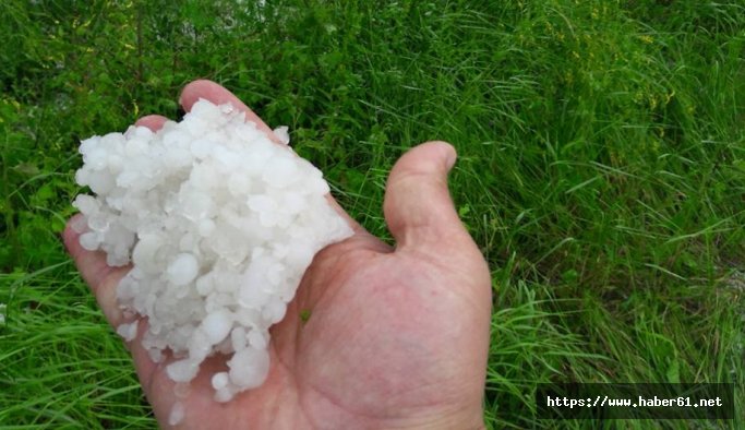 Tokat'ta dolu zarar tespit çalışması başlatıldı