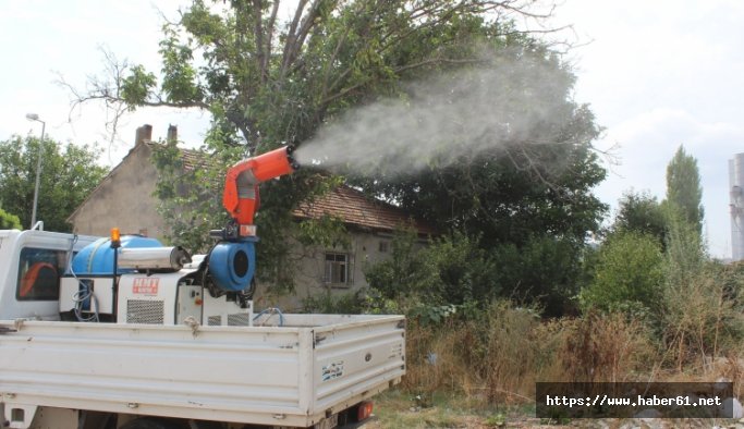 Trabzon'da Belediyenin yaz dönemi çalışmaları