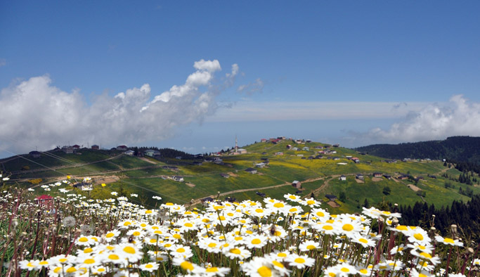 Tonya Vadisi'ne yeni yatırım